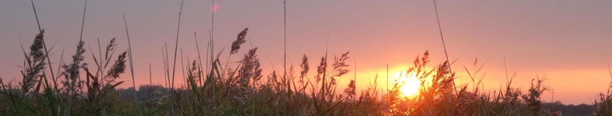 Bernwards Blog – für Freiheit und Bürgerrecht